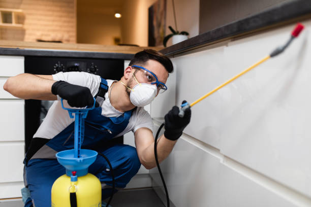 Best Wasp Removal Services  in Kings Park West, VA