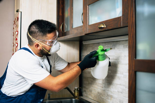 Best Mosquito Control Services  in Kings Park West, VA