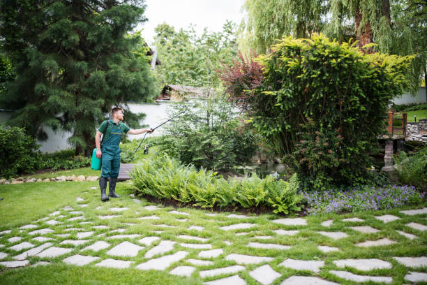 Best Affordable Pest Control Services  in Kings Park West, VA