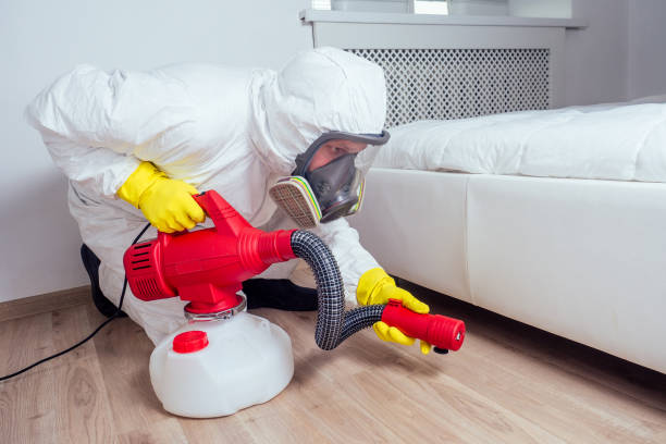Best Termite Control Services  in Kings Park West, VA