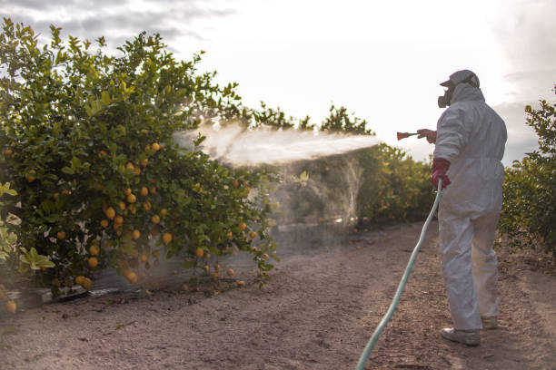Reliable Kings Park West, VA Pest Control Solutions