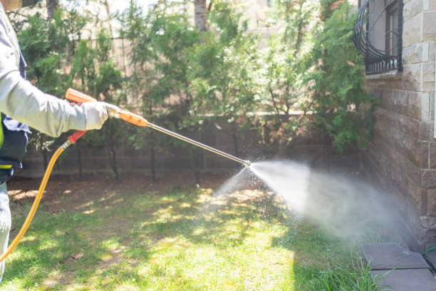 Best Wasp Removal Services  in Kings Park West, VA