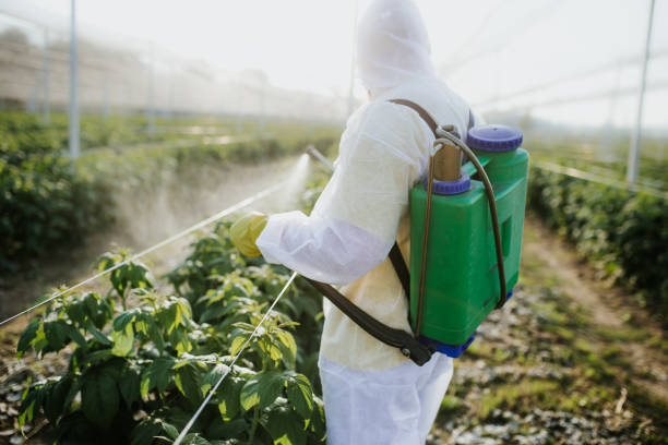Best Bed Bug Extermination  in Kings Park West, VA